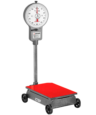 Dial Platform Scale